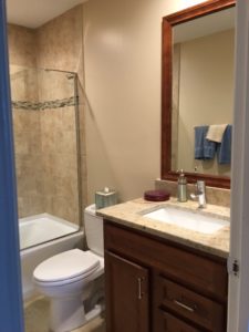 Complete Hallway Bathroom Remodel.